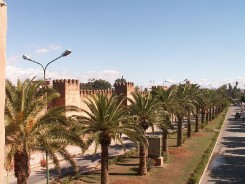 Taroudant - Palmenallee an der Stadtmauer